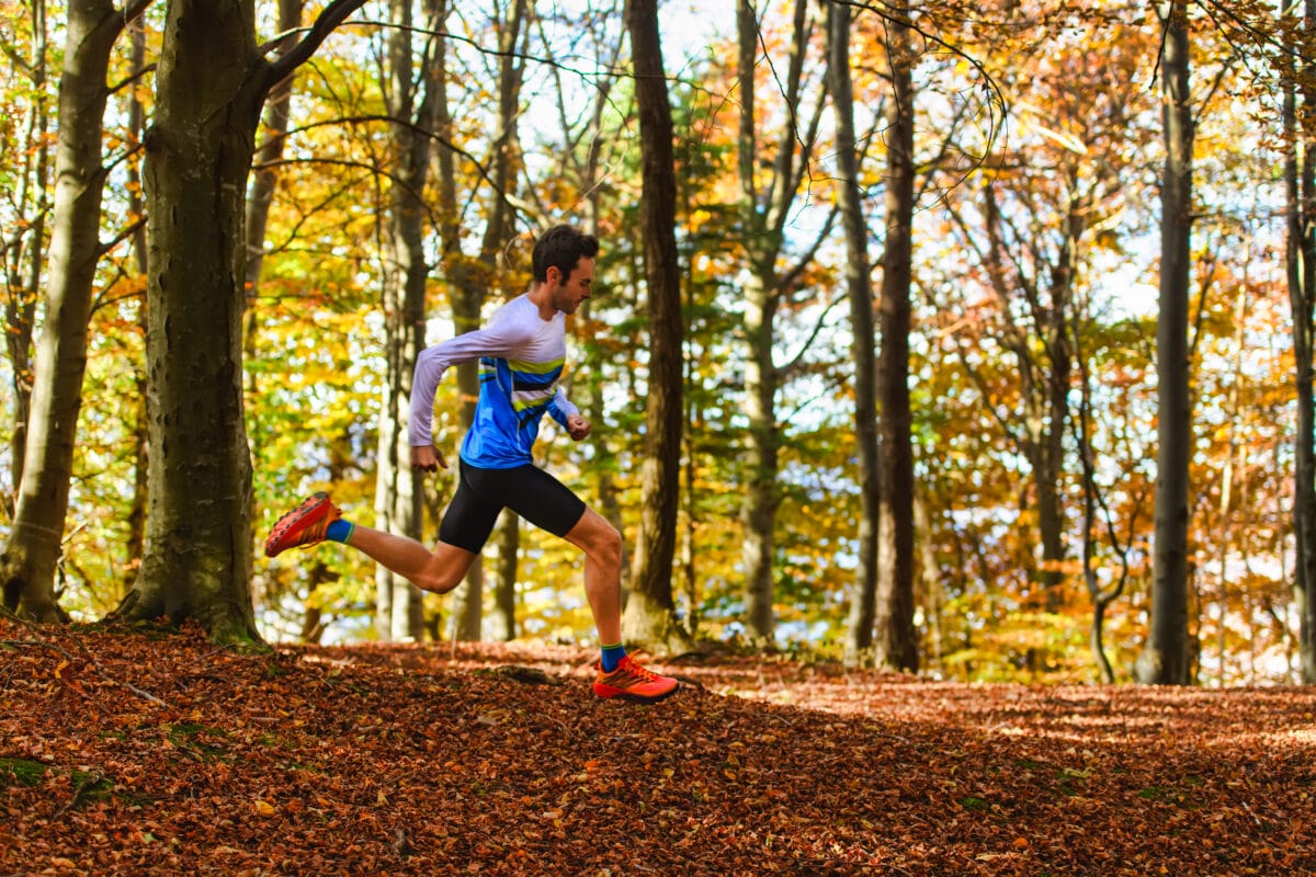 Rennsteig Herbstlauf